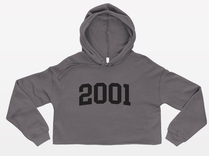 gray with black print birth year cute trendy cropped hoodie 2001