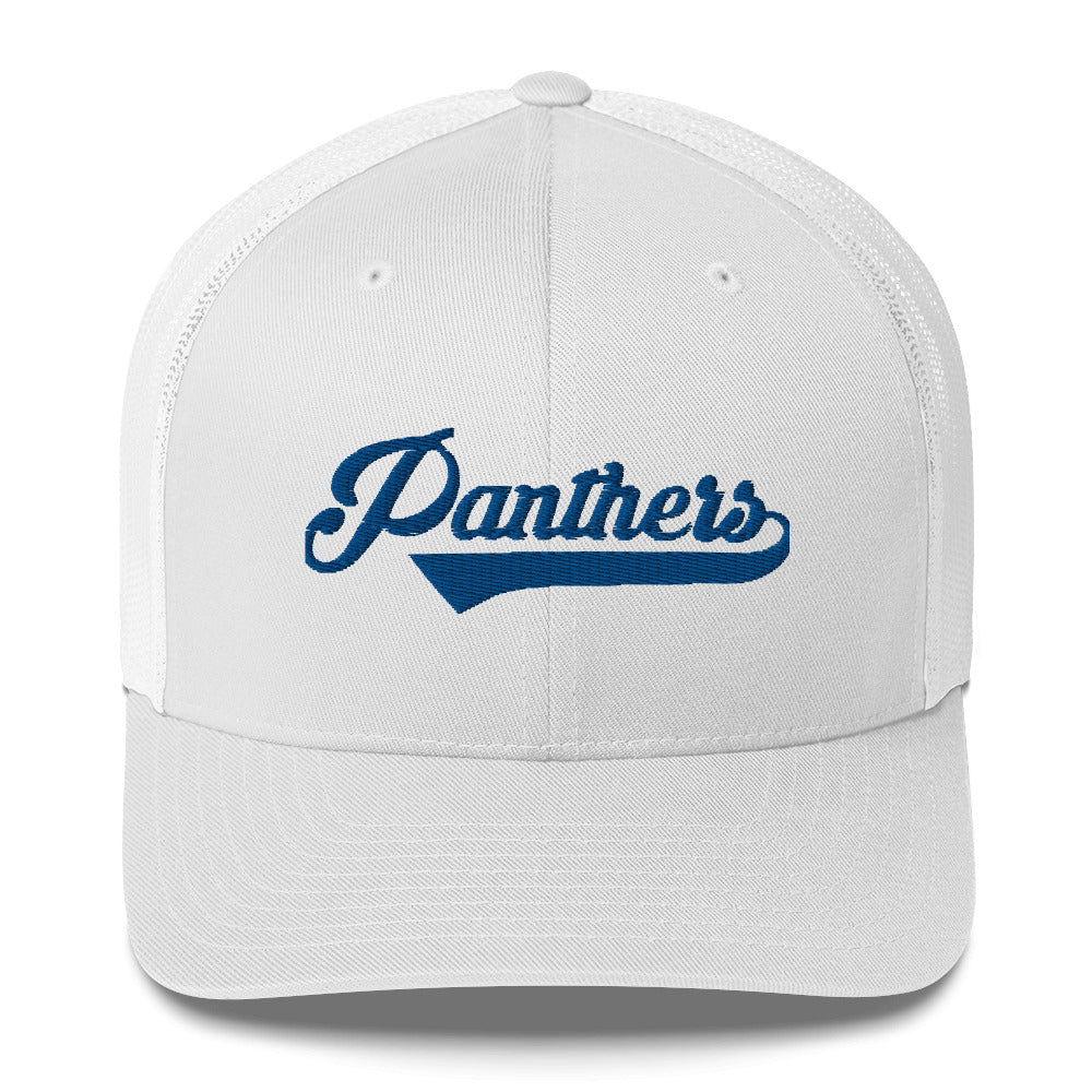Panthers Mesh Baseball Cap
