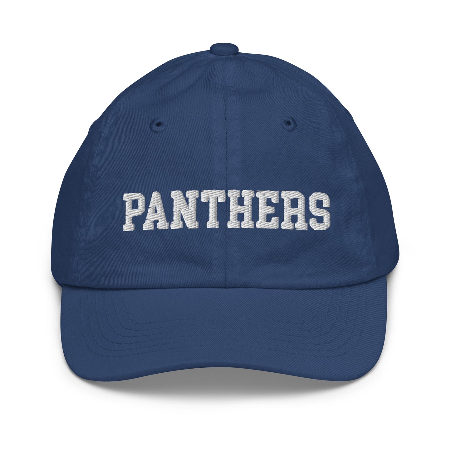 Panthers Youth Hat